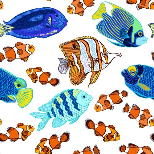 Bild exotische Cartoon-Fische auf weißem