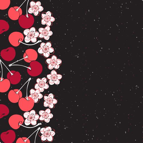 Kirsche. Vektor Kirsche, Beeren und Blumen, Platz für Text auf schwarzem