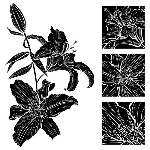 Lilie. Vektor schwarzer Lilien-Silhouette, drei Quadrate mit Blumenfragmenten auf weißem