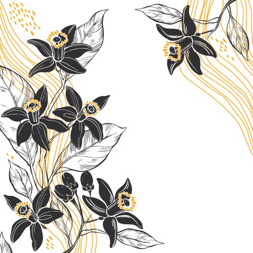 Neroli. Vektor NeroliBlumen, Wellenlinien, Textplatz auf weissem, Winkelkomposition