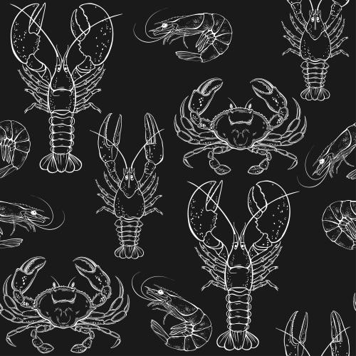 Garnele. Vektor Krabben, Lobster, Krebs, Garnelen, weiße Konturen auf schwarzem