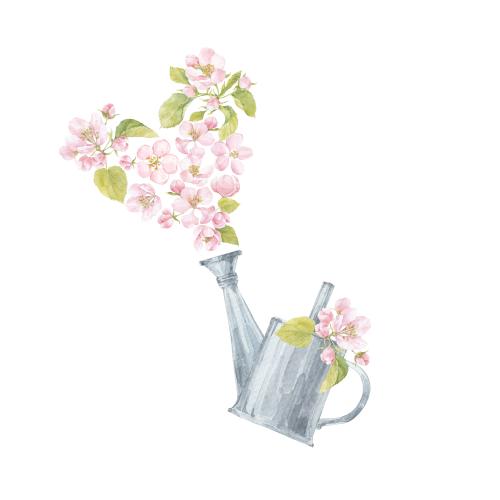 Gießkanne. Vektor Frühlingskomposition mit Apfelblüten und Gießkanne auf weißem