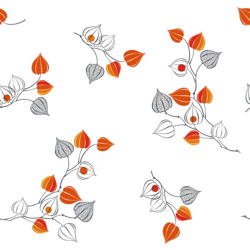 Physalis. Vektor physaliszweige mit orangefarbenen Kapseln und Beeren auf weißem