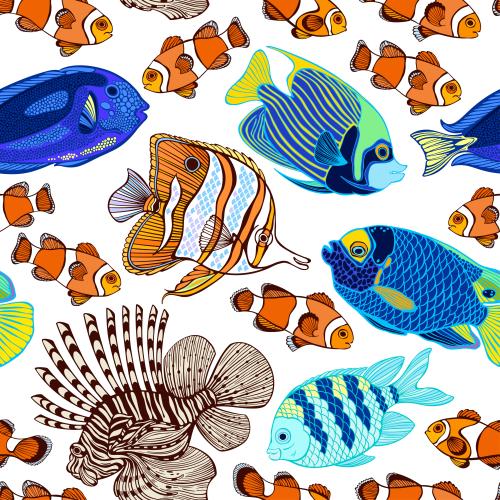 Bild bunte tropische Fische auf weißem