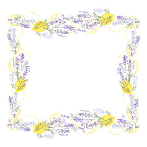 Lavendel. Vektor quadratischer Rahmen mit zitronen und lavendel auf weißem