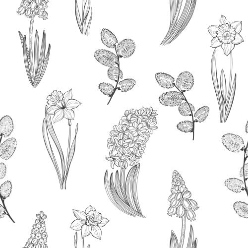 Narzisse. Vektor Frühjahrsblumen: Muscari, Hyazinthen, Narzissen und Weidenzweige auf weißem