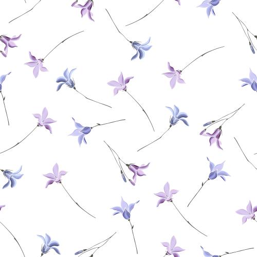 Vektorgrafik blumen kolokolchiken auf weißem