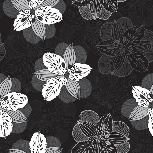 Vektorgrafik irisblumen auf schwarzem