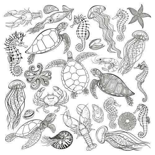 Nautilus. Vektor schildkroeten quallen seepferdchen kolmar hummer kalmar octopus nautilus krabbe garnelen muscheln austern meerstern auf weissem