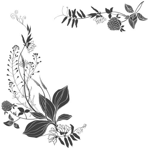 Hirtentäschel. Vektor feldblumen und Kräuter, Textplatz auf weißem, Eckkomposition