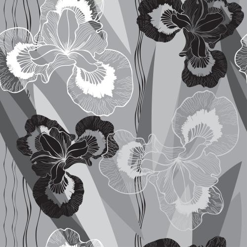 Vektorgrafik irisblumen, silhouetten und konturen auf abstrakt monochrom