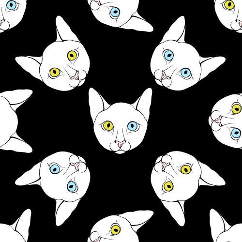 Vektorgrafik süße katzenmienen mit farbigen augen auf schwarzem