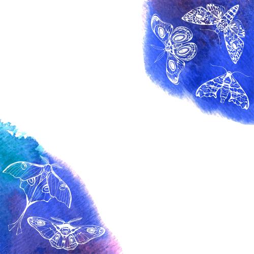 Vektorgrafik nachtfalter, blaue aquarellfragmente, platz für text auf weißem, eckkomposition
