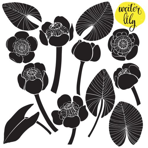 Seerose. Vektor Wasserlilien, Blätter, schwarze Silhouetten auf weißem, verschiedene Varianten
