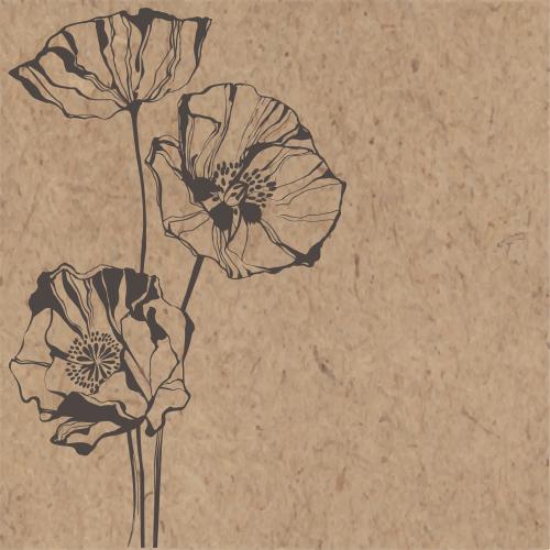 Mohn. Vektor drei Mohnblumen Platz für Text auf Kraft