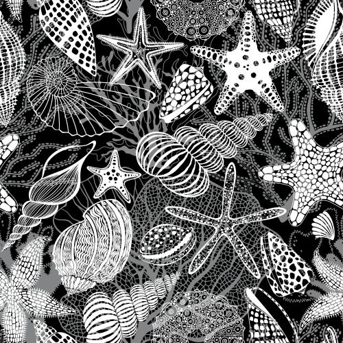 Nautilus. Vektor Meeressterne, Muscheln, Nautilus, Meeresich, Korallen, Algen, weiße und graue Silhouetten und Konturen auf schwarzem