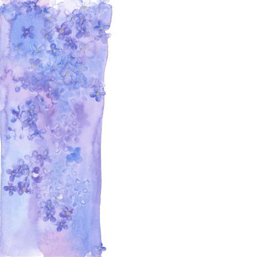 Flieder. Vektor dekorative Aquarellband mit Lilienblüten, Textplatz auf weißem