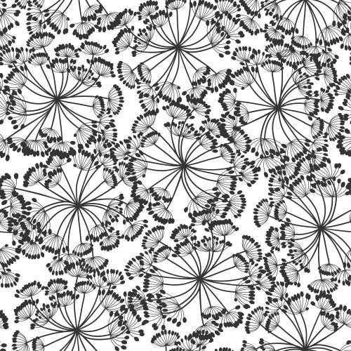 Dill. Vektor Blumen-Umbrellas, schwarze Silhouetten auf weißem