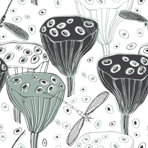 Libelle. Vektor Lotuskästchen, nicht-verstanden-wort, Konturen und Silhouetten, dekorative Elemente, Libellen auf Weissm