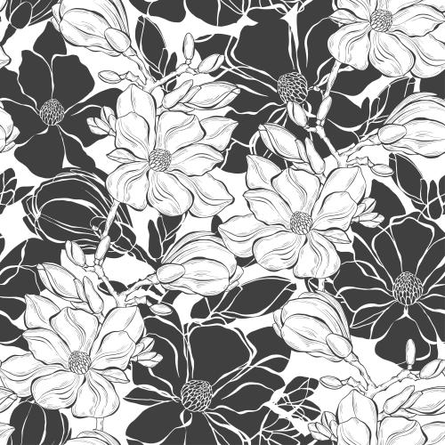 Knospe. Vektor Magnolie, Silhouetten und Konturen Blumen auf weißem