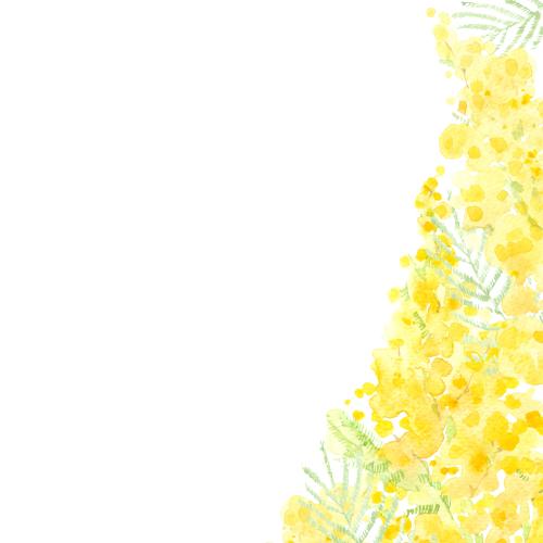 Rasterbild aquarellmimosa, textplatz auf weißem, eckkomposition