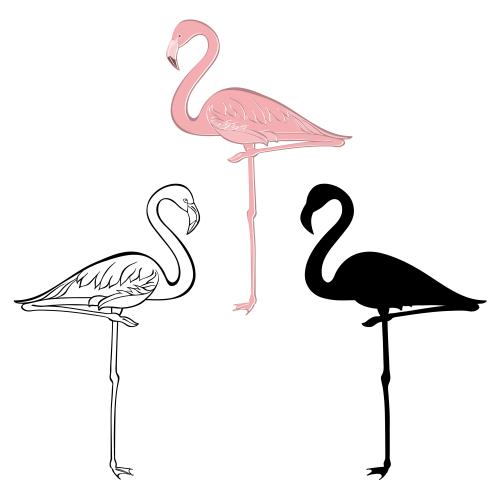 Flamingo. Vektor Flamingo, Konturzeichnung, farbige und schwarze Silhouetten auf weissm