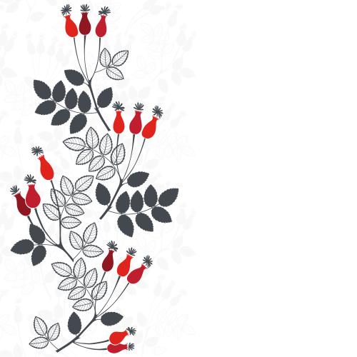 Vektorgrafik hagebutte, monochrome zweige mit roten beeren, textfeld auf weißem