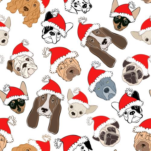 Shar pei. Vektor Maul von Hunden verschiedener Rassen in Weihnachtsmützen auf weißem