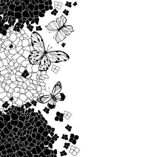 Hortensie. Vektor Hortensien, Konturen und Silhouetten, Schmetterlinge, Platz für Text auf weiß