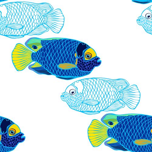 Vektorgrafik blaue kaiserfische, farbige silhouetten und konturen auf weiß
