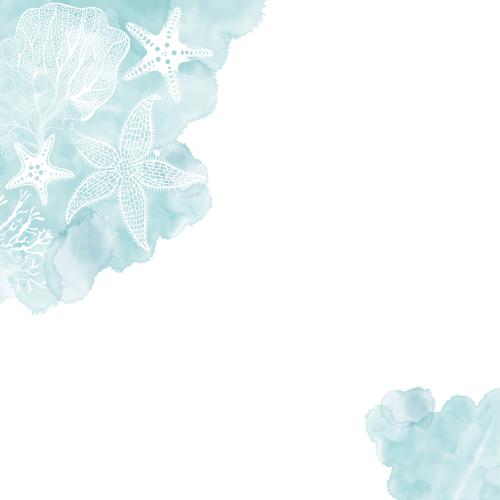 Bild Meersterne, Korallen, blaue Aquarellfragmente, Platz für Text auf Weiß, Eckkomposition