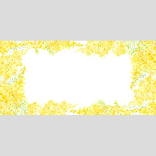 Rasterbild aquarellmimose, platz für text auf weißem