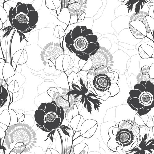 Anemone. Vektor anemonen und Eukalyptuszweige, Silhouetten und Konturen auf weißem