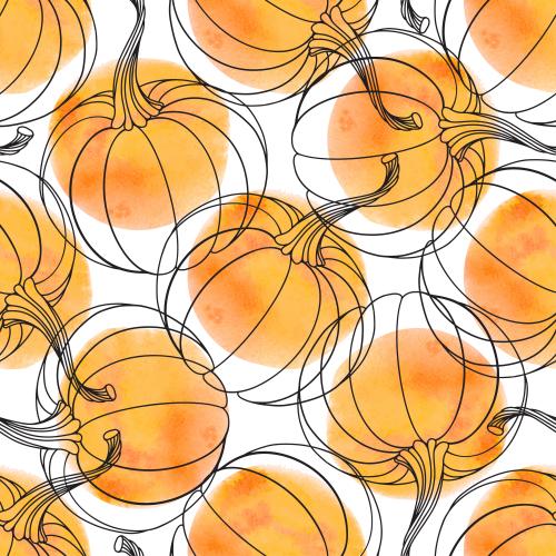 Kürbis. Vektor Kürbisse, schwarze Konturen und orangene Aquarell-Fragmente auf weißem
