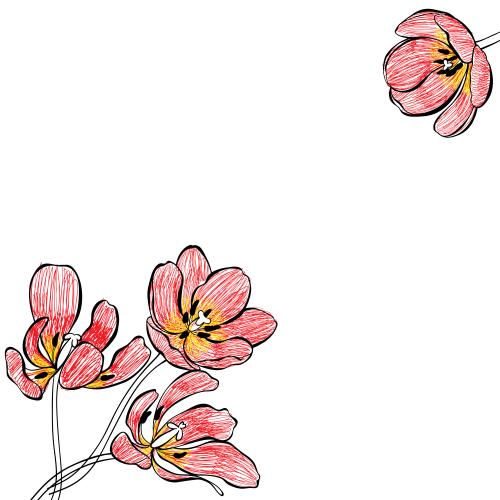 Tulpe. Vektor Tulpen, Platz Für Text Auf Weißem, Eckkomposition