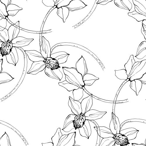 Vektorgrafik blumen orchideen auf weißem