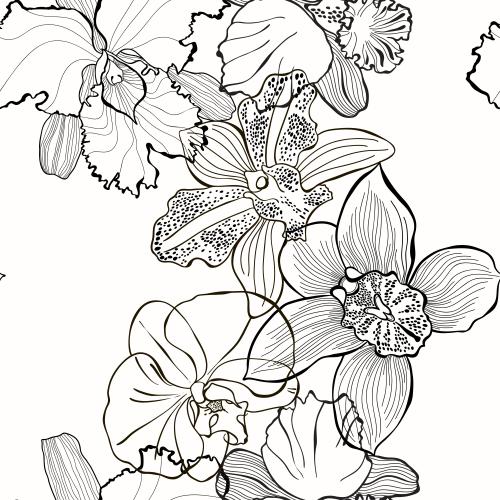Orchidee. Vektor Orchideen, schwarze Konturen auf weißem