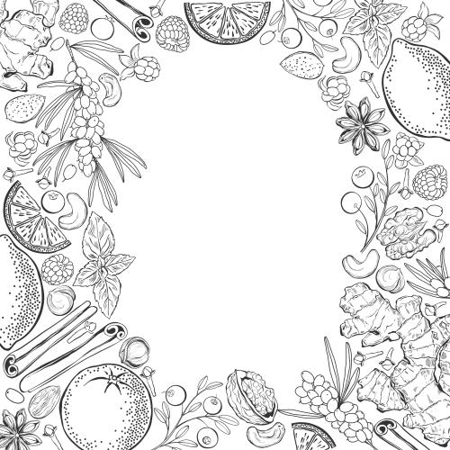 Vektorgrafik vitaminreiche früchte, beeren, nüsse: zitronen, orange, ingwer, zimt, kranbeeren, brombeeren, himbeeren, hagebutten, mandeln, haselnüsse, walnüsse, cashewnüsse, platz für text auf weißem