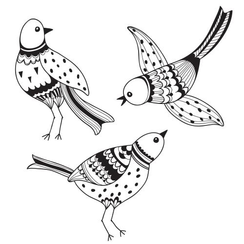 Vektorgrafik drei cartoonische vögel auf weißem