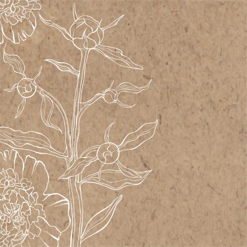 Pfingstrose. Vektor pfingstrosen mit Blüten und Knospen Platz für Text auf Kraftpapier