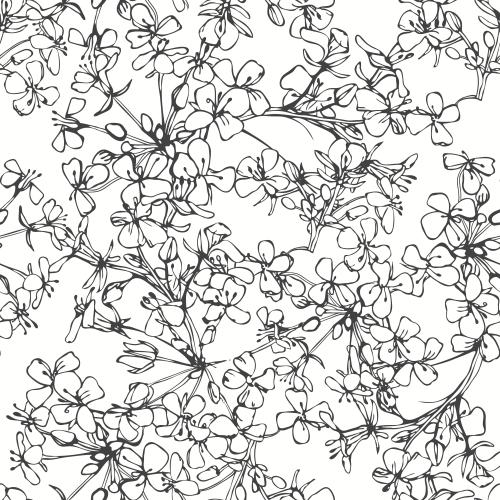 Vektorgrafik blütenstände abstrakter blumen auf weißem, konturzeichnung