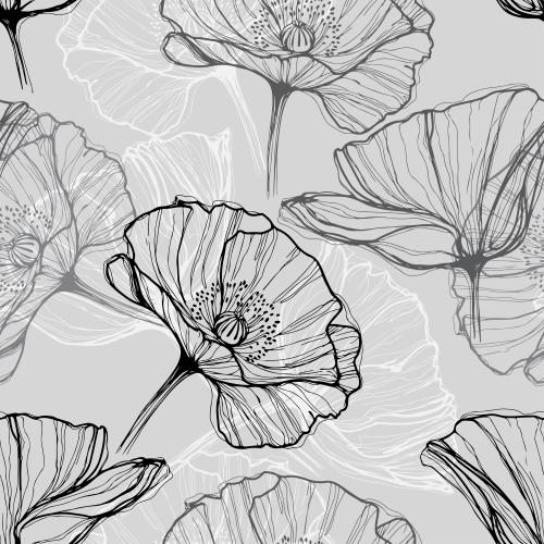 Mohn. Vektor Mohn, monochrom Konturen auf grau
