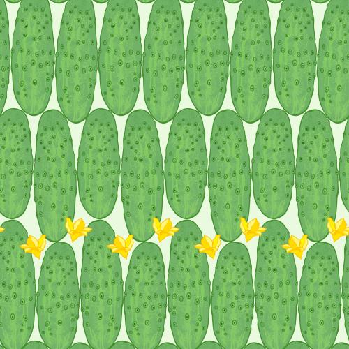 Gemüse. Vektor gurken und Gurkenblüten