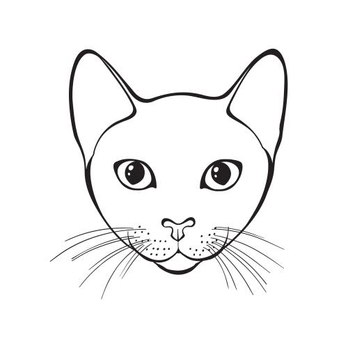 Vektorgrafik hübsches katzengesicht auf weißem