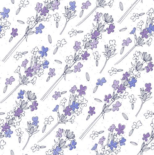 Lavendel. Vektor Lavendel auf weißem