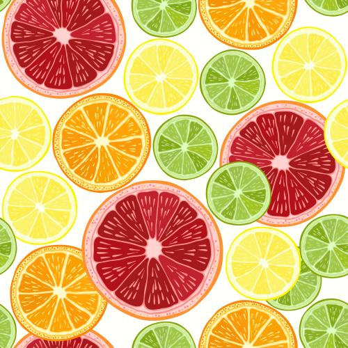 Zitrusfrucht. Vektor Grapefruit, Orange, Limette und Zitrone auf weißem