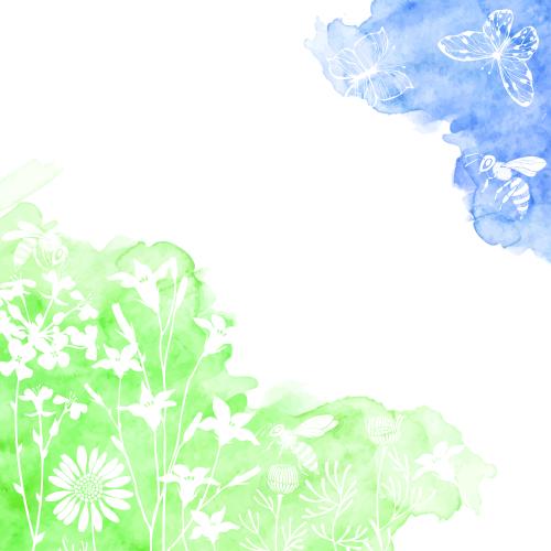 Biene. Vektor Schmetterlinge, Bienen, Wiesenblumen, blaue und grüne Aquarell-Fragmente, Platz für Text auf weiß