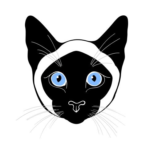 Siamkatze. Vektor Siamkatze, bunt hübsches Gesicht auf weißem
