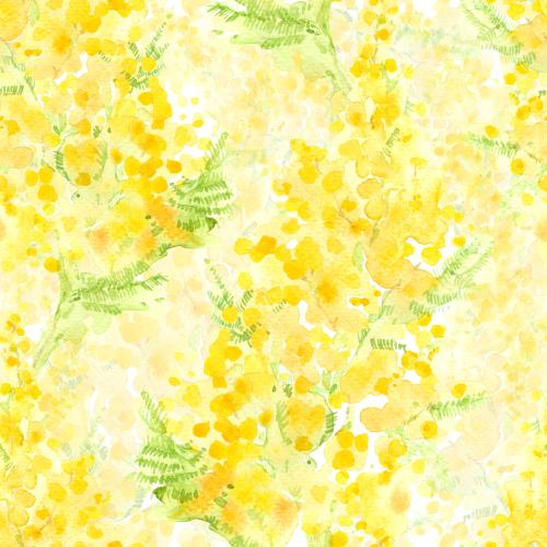 Rasterbild aquarellmimose auf weißem