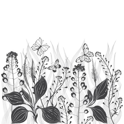 Hirtentäschel. Vektor Wiesenkräuter Blumen und Schmetterlinge Textfeld auf weissem